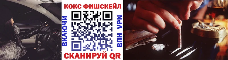 Кокаин FishScale  Купить где  Устюжна 