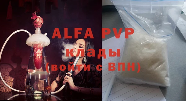 PSILOCYBIN Костерёво