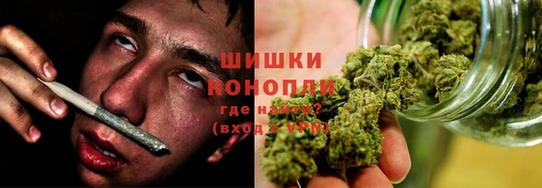 шишки Коряжма