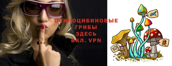 трава Корсаков