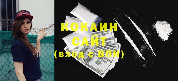 трава Корсаков