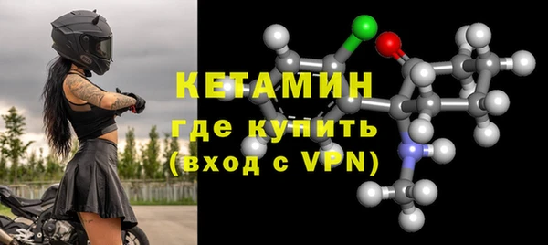 трава Корсаков