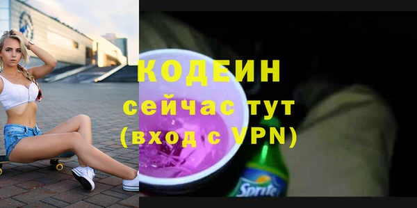 шишки Коряжма