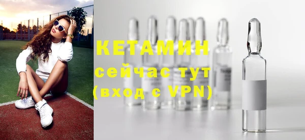 трава Корсаков