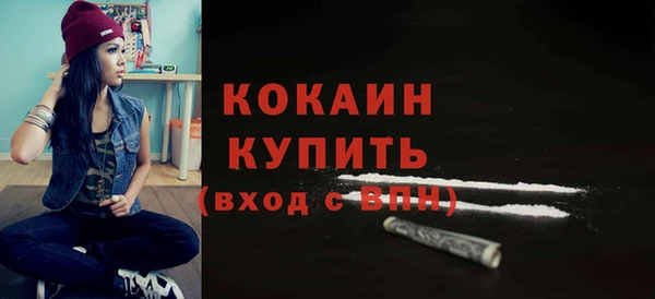 шишки Коряжма