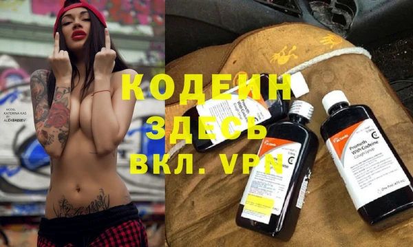 шишки Коряжма