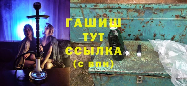 шишки Коряжма