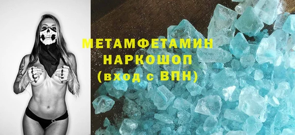 трава Корсаков