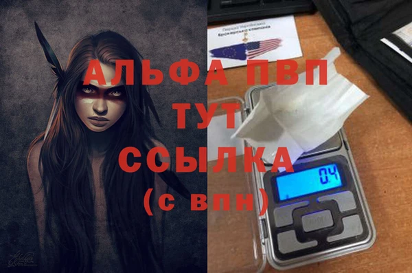 шишки Коряжма