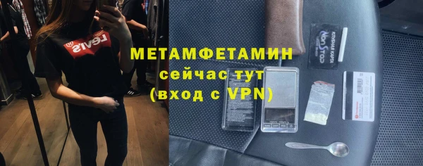 трава Корсаков