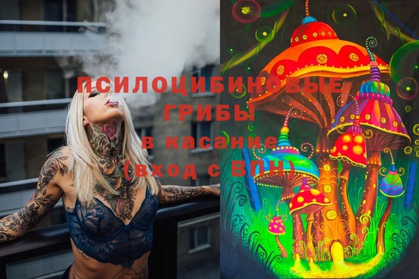 PSILOCYBIN Костерёво