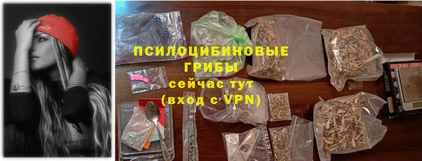 шишки Коряжма