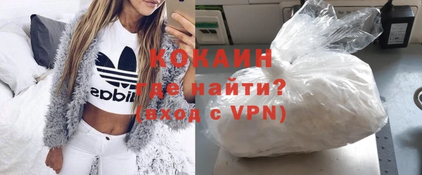 шишки Коряжма