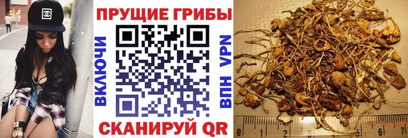 Купить где  Устюжна  Псилоцибиновые грибы мухоморы 